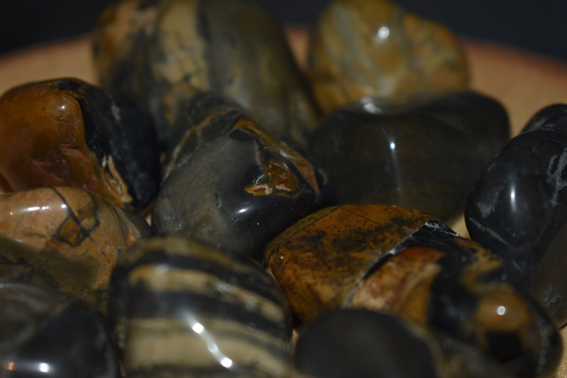 Bois Fossilisé Foncé - Pierre Roulée