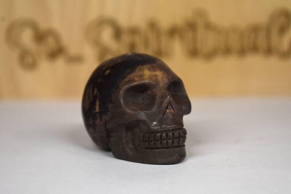 Crâne en bois fossilisé – Pièce unique – Petit Modèle