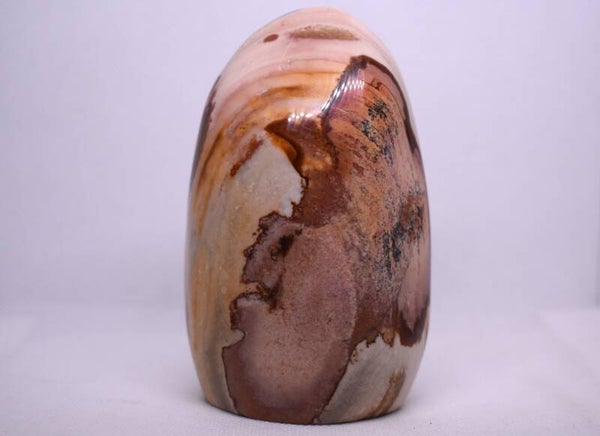 Jaspe polychrome – Forme libre – 504 g