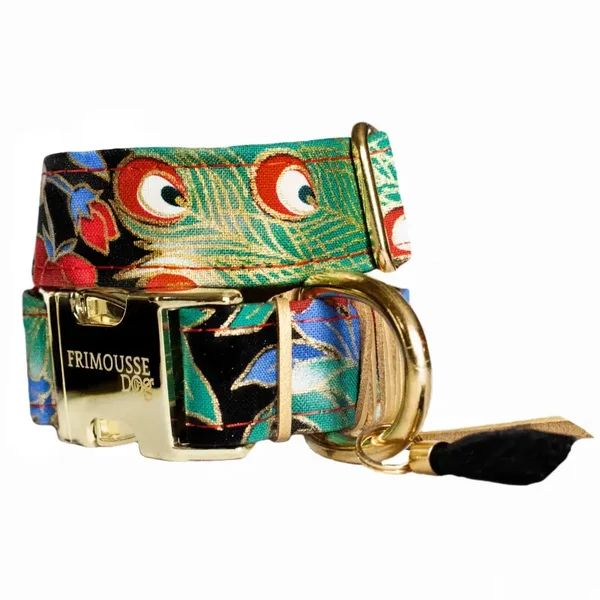 collier pour chiens Bankok