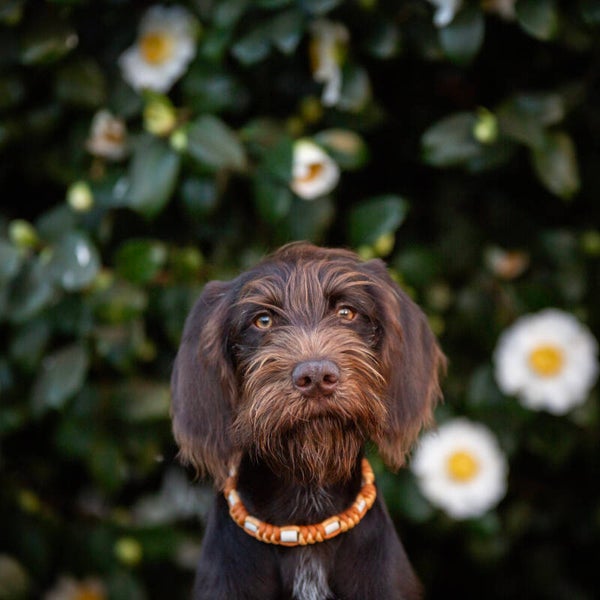 Anti-tekenband - Sluiting achteraan