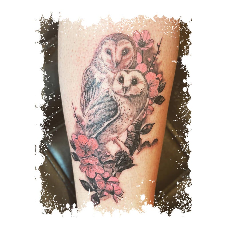 owls-2.jpg