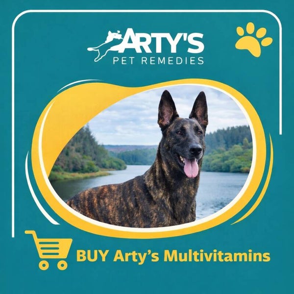 Arty's  All-in-One Multivitamin Soft Chews for Dogs