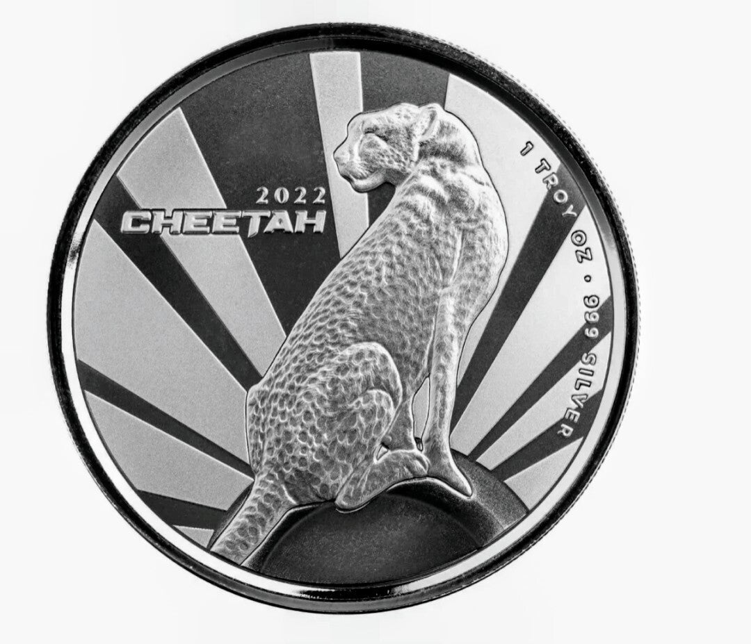 Silver Bullion 1 Troy Oz Coin & Copper Bullion Coins