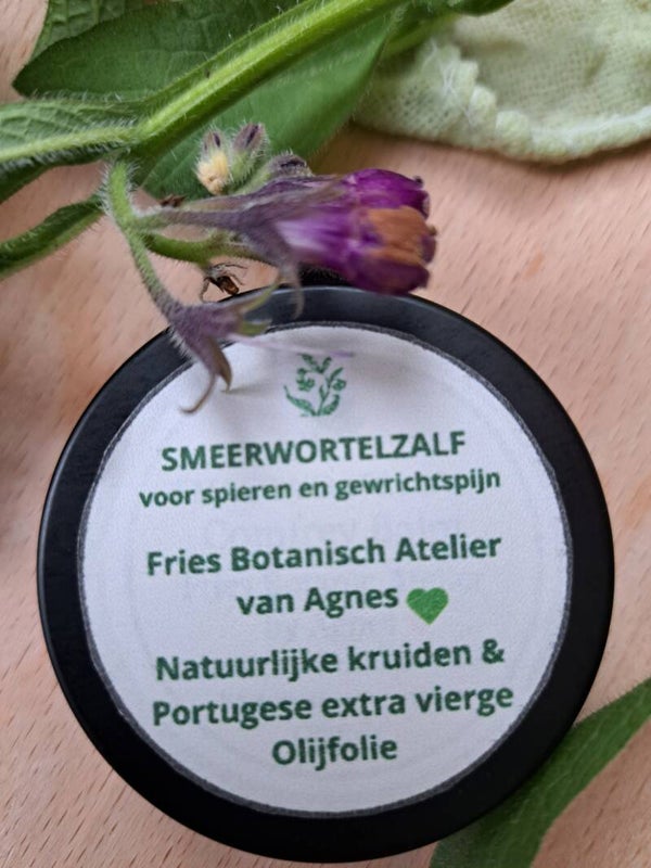 Smeerwortelzalf