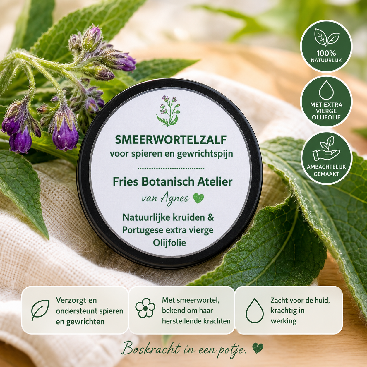 Smeerwortelzalf