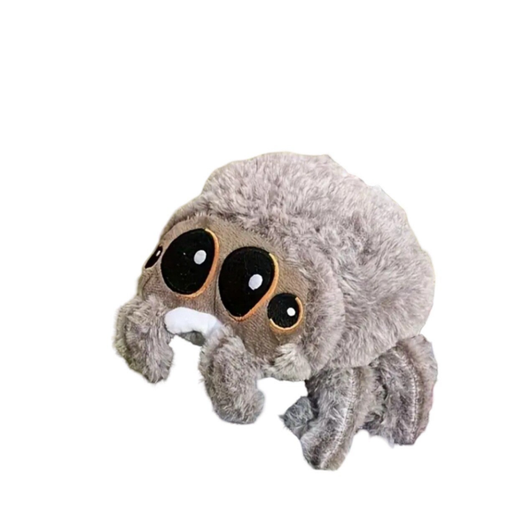 Spinnetje Spat - 20 cm