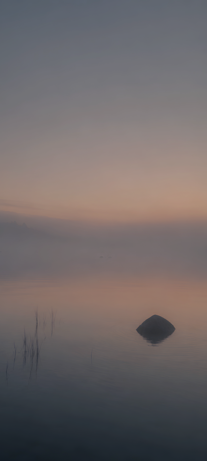 Dawn