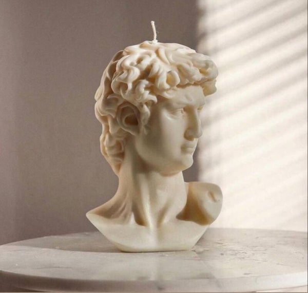 statue of David. Capturing