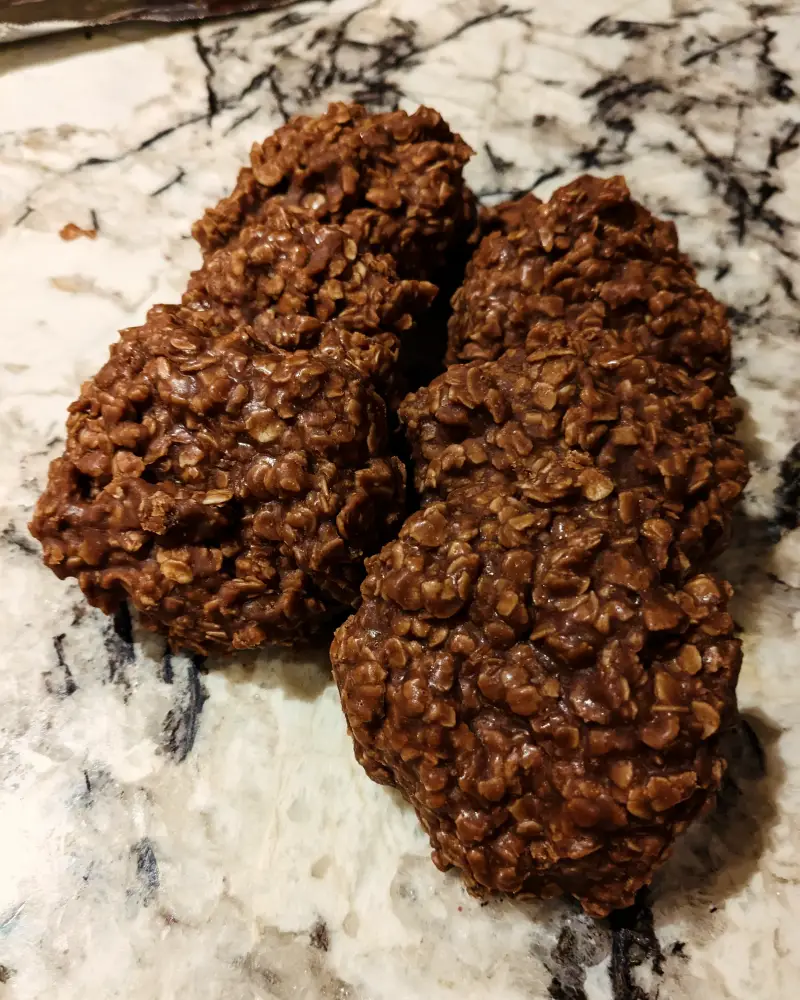 Fudgy No-Bake Cookies 