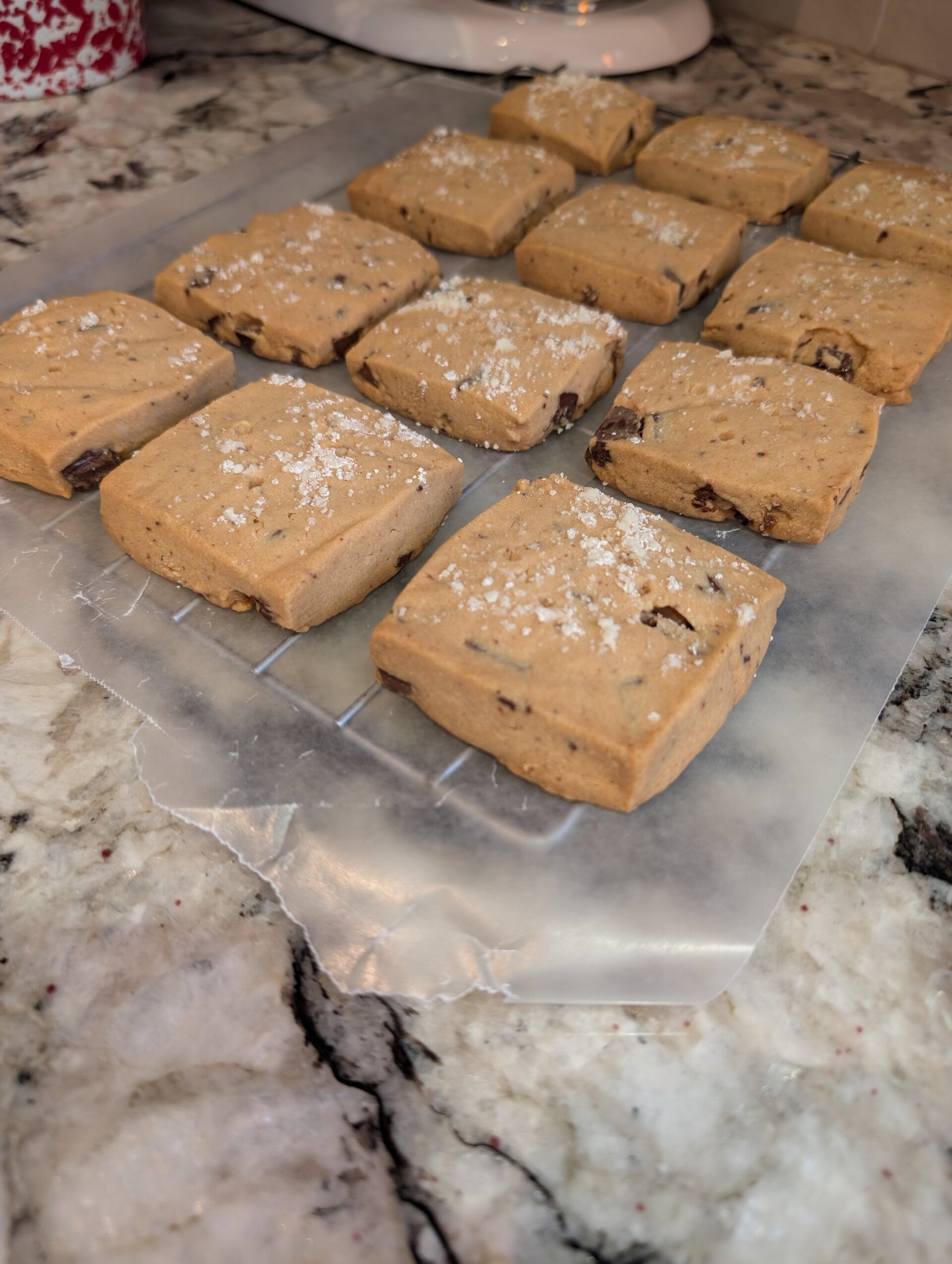 Chocolate Chip Shortbread Cookies