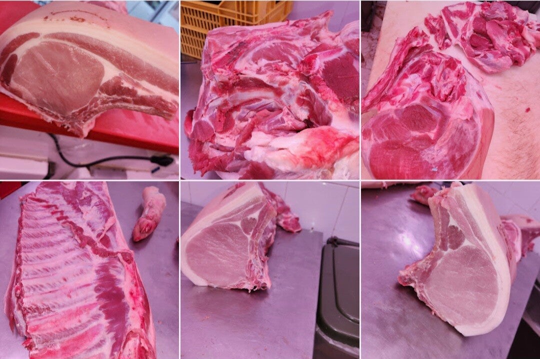 Carne di suino
