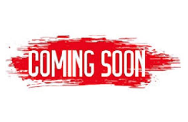 Opblaasbare Attractie Monkey Toren