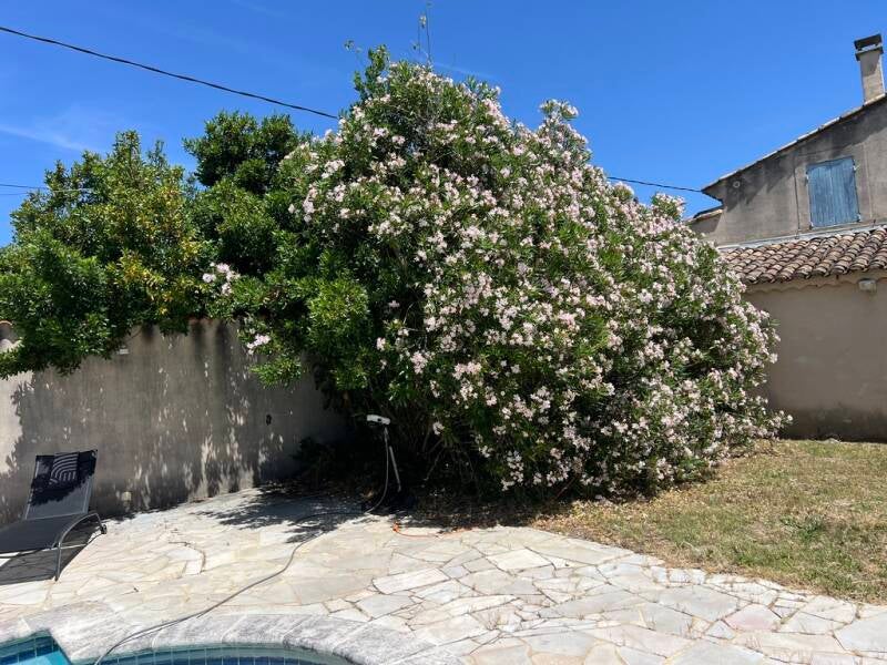 jardin4-standard-ifjfna.jpg