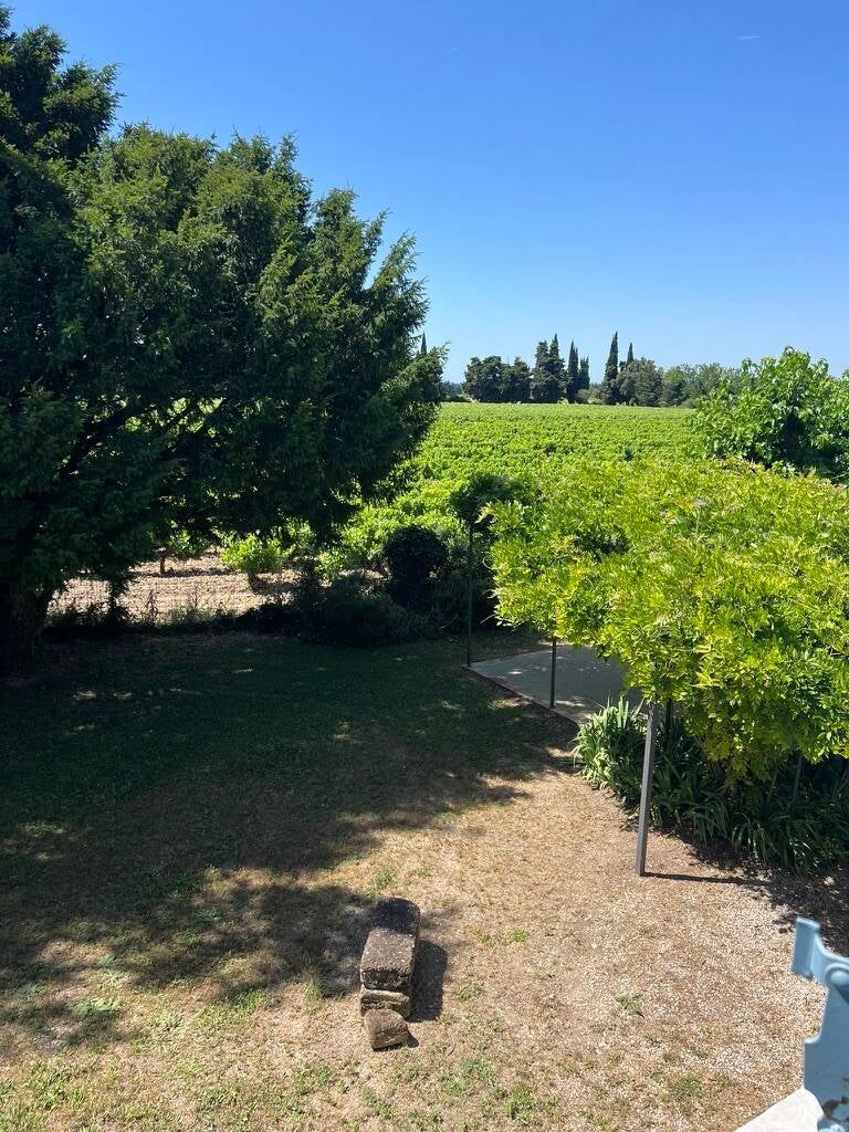 vignes-de-la-fenetre-standard.jpg