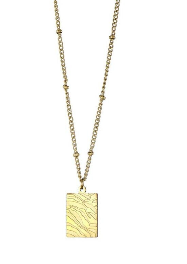 in to the wild neckless