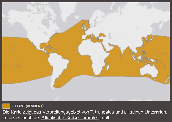 Verbreitungskarte Atlantischer Großer Tümmler