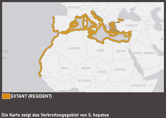 Verbreitungskarte Beutelbarsch
