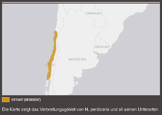 Verbreitungskarte Chiletinamu