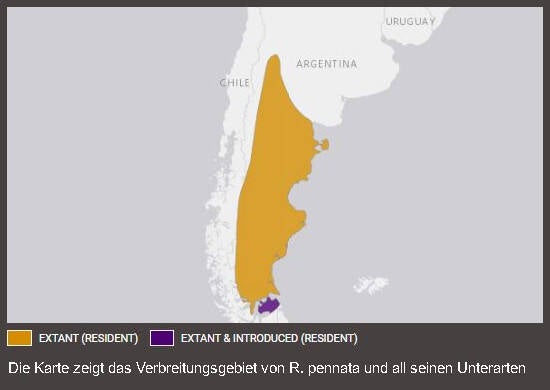 Verbreitungskarte Darwinnandu