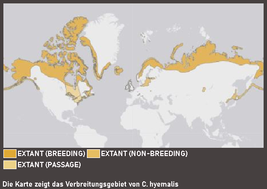 Verbreitungskarte Eisente