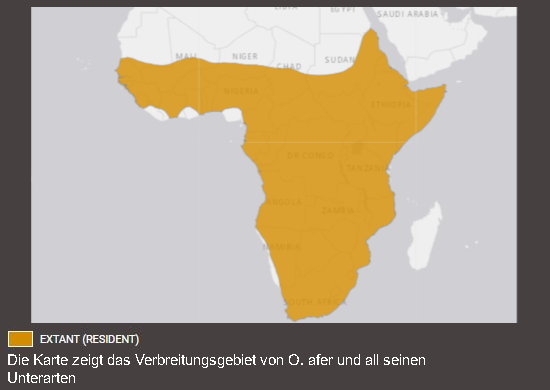 Verbreitungskarte Erdferkel