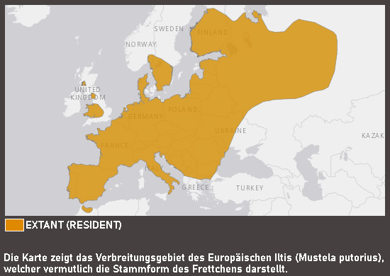 Verbreitungskarte Frettchen