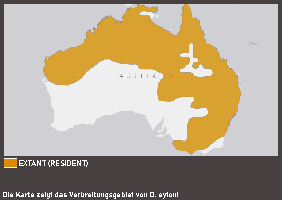 Verbreitungskarte Gelbfuß-Pfeifgans