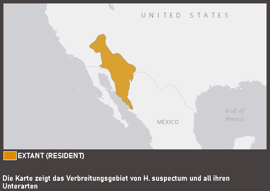 Verbreitungskarte Gila-Krustenechse