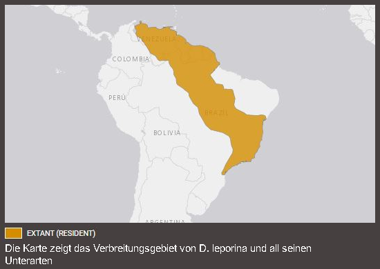 Verbreitungskarte Goldaguti (kein Unterartenstatus)