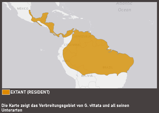 Verbreitungskarte Großgrison