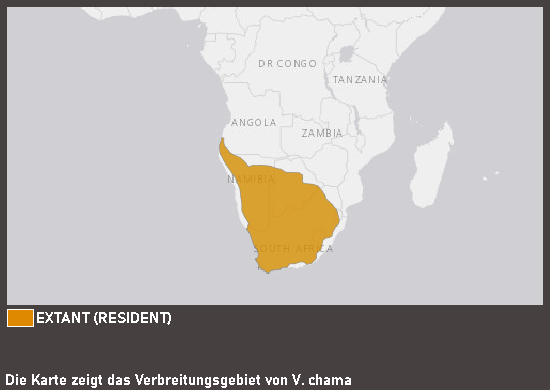 Verbreitungskarte Kapfuchs