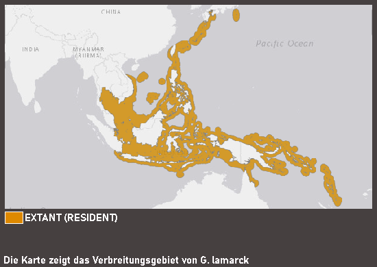Verbreitungskarte Lamarcks Engelfisch