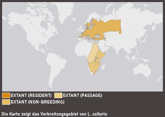 Verbreitungskarte Neuntöter