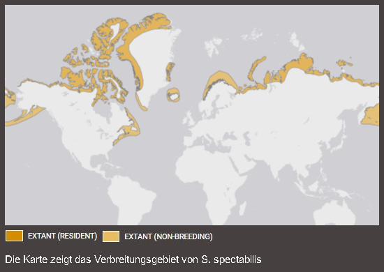 Verbreitungskarte Prachteiderente