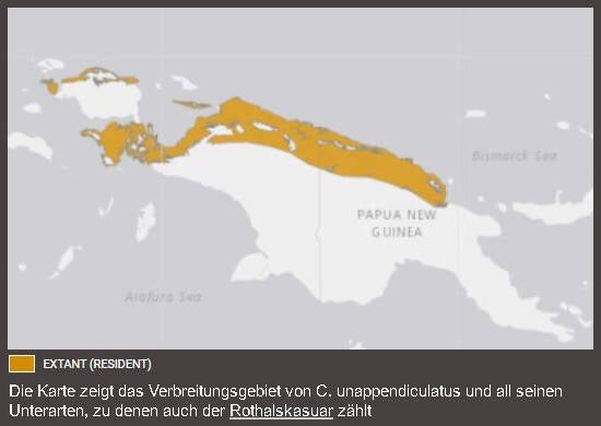 Verbreitungskarte Rothalskasuar