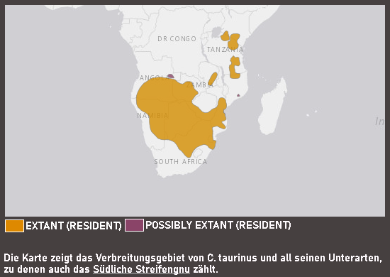Verbreitungskarte Südliches Streifengnu
