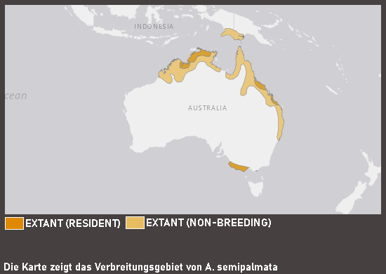 Verbreitungskarte Spaltfußgans