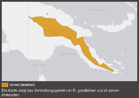 Verbreitungskarte Timboyok-Baumkänguru