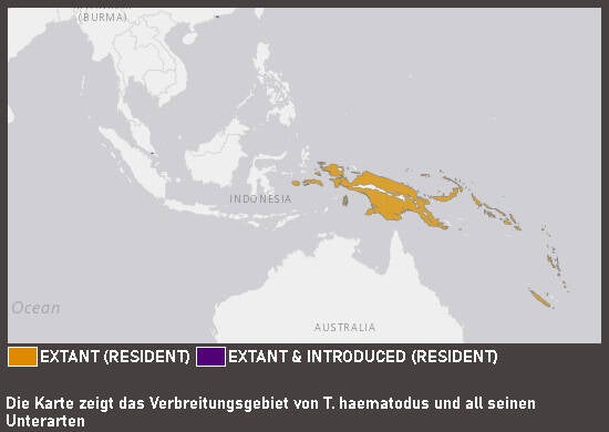 Verbreitungskarte Allfarblori (kein Art- oder Unterartenstatus)
