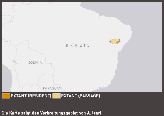 Verbreitungskarte Learara