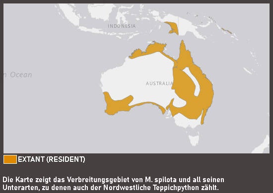 Verbreitungskarte Nordwestlicher Teppichpyhton