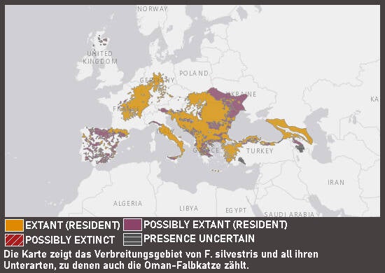 Verbreitungskarte Oman-Falbkatze