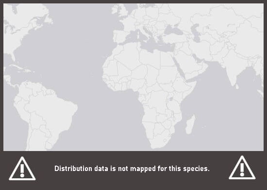 Verbreitungskarte Rotwangen-Schmuckschildkröte