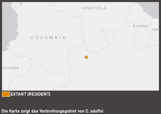 Verbreitungskarte Adolfos Panzerwels