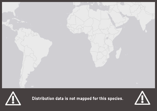 Verbreitungskarte Augenfleck-Buntbarsch
