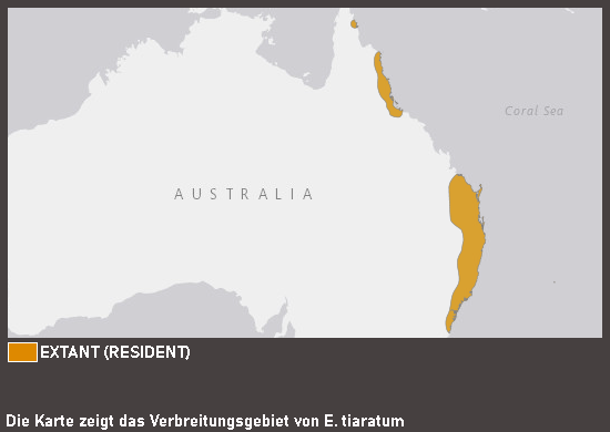 Verbreitungskarte Australische Gespenstschrecke