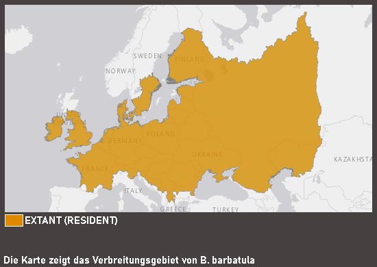Verbreitungskarte Bachschmerle