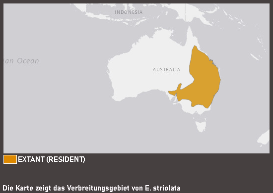 Verbreitungskarte Baumskink