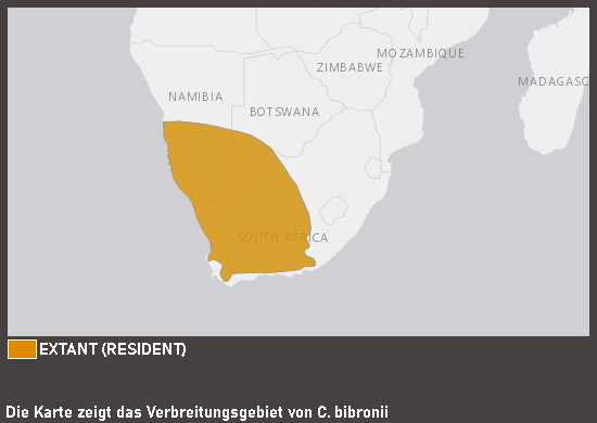 Verbreitungskarte Bibrons Dickfingergecko